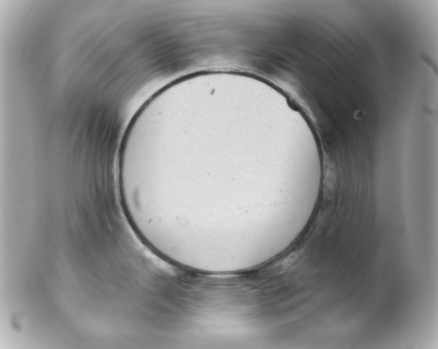 X0000102291343200808151944