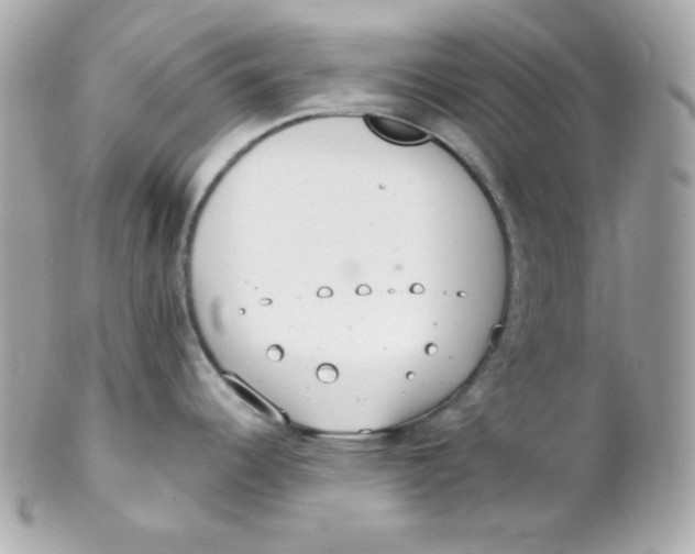 X0000102291344200808151944