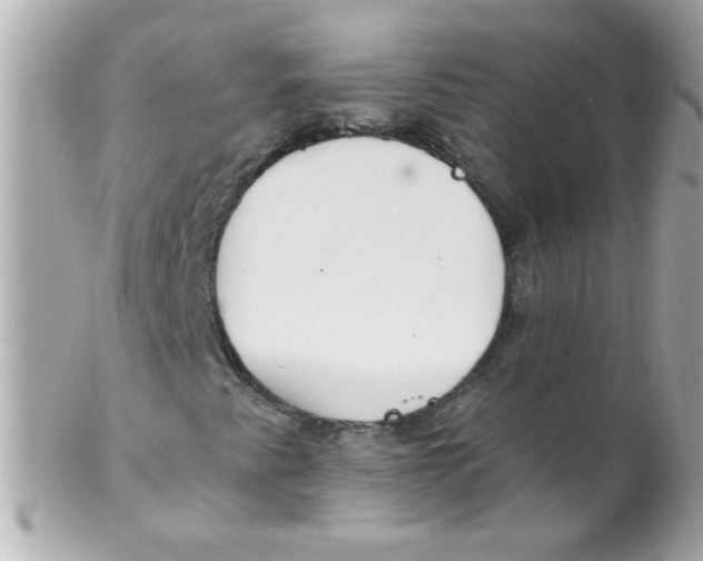 X0000102291345200808151943