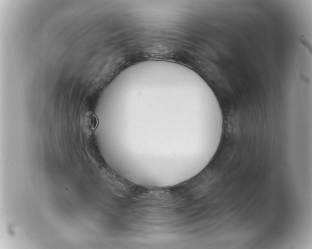 X0000102291346200808151943