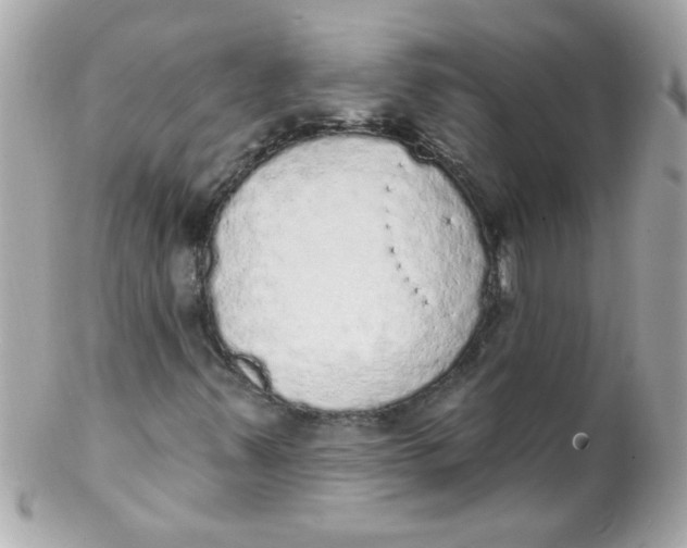 X0000102291347200808151943