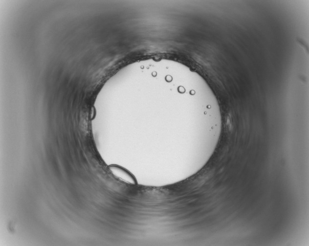 X0000102291348200808151943