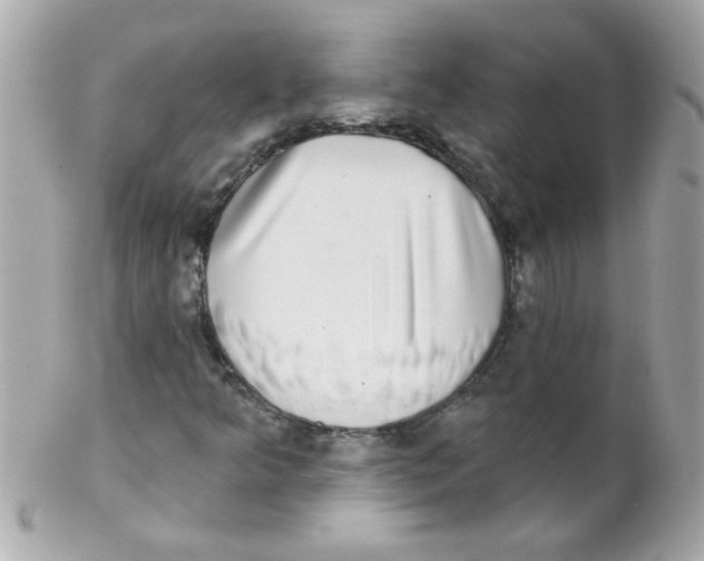 X0000102291349200808151943