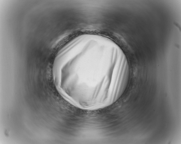 X0000102291350200808151943