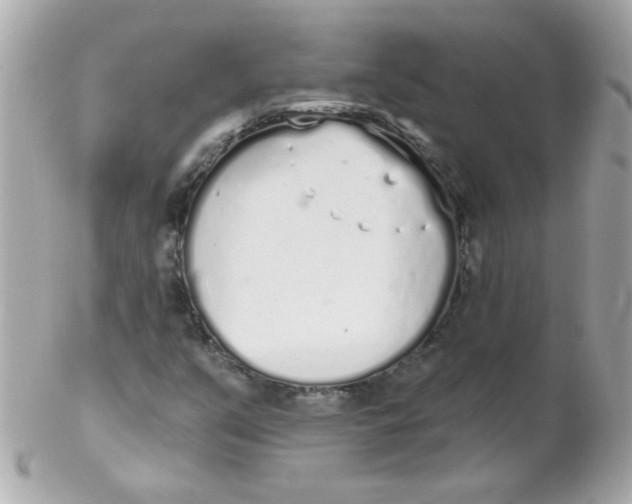 X0000102291351200808151943