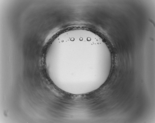 X0000102291352200808151943