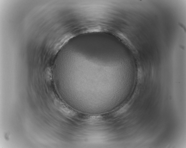 X0000102291353200808151943