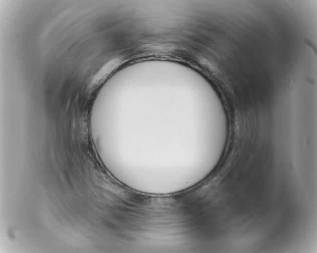 X0000102291354200808151943