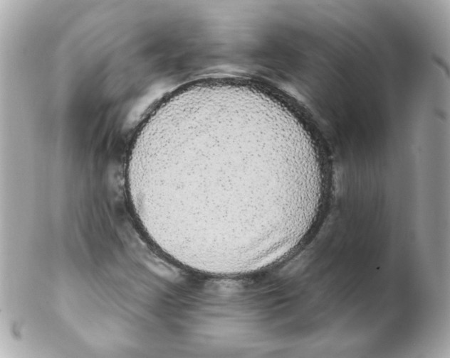 X0000102291355200808151943