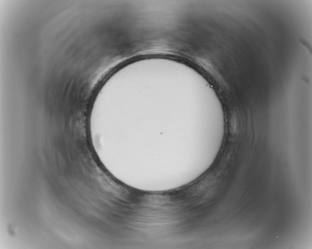 X0000102291356200808151943