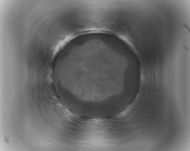 X0000102291357200808151943