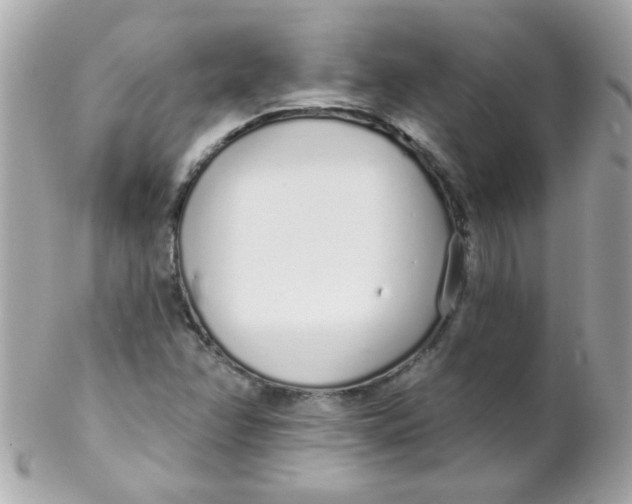 X0000102291358200808151943