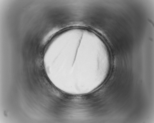 X0000102291359200808151943