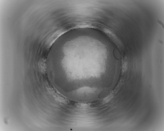 X0000102291361200808151943