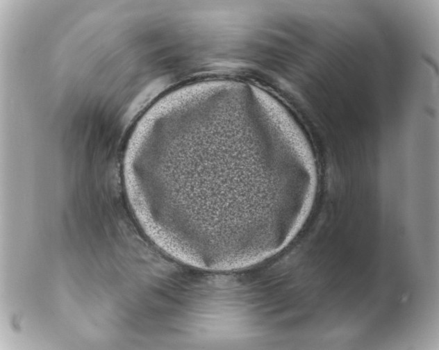 X0000102291362200808151943