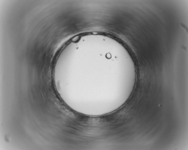 X0000102291364200808151943