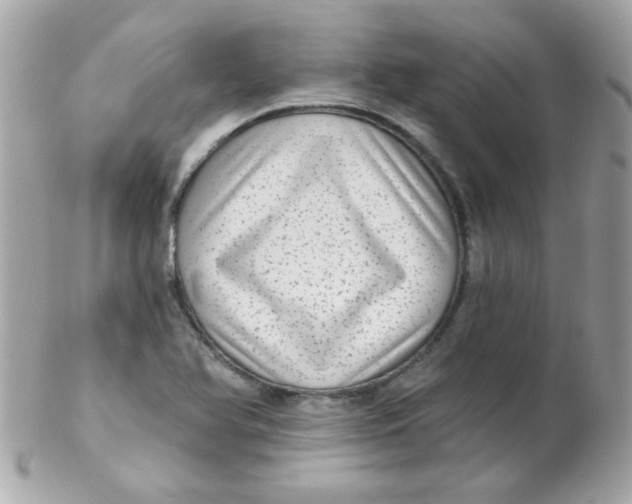 X0000102291366200808151943