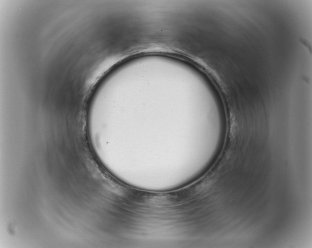 X0000102291367200808151943