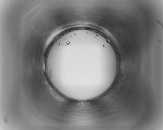 X0000102291368200808151943