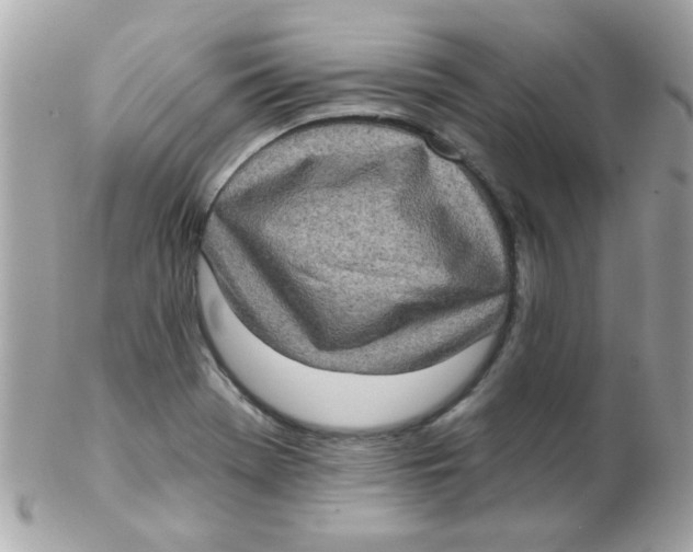 X0000102291369200808151943