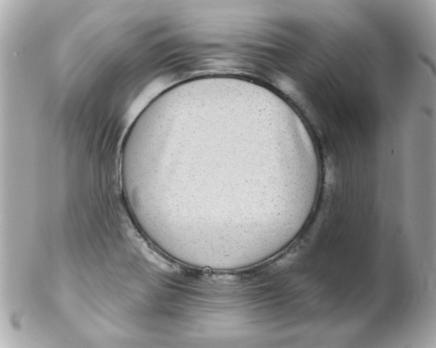 X0000102291370200808151943