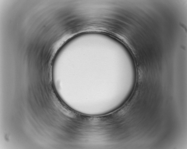 X0000102291371200808151943