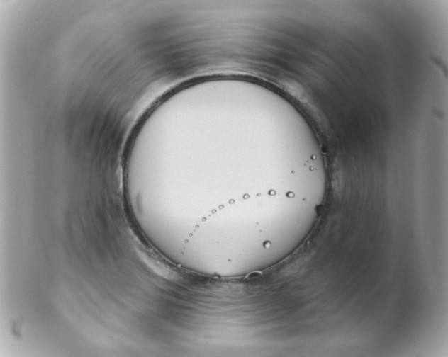 X0000102291372200808151943