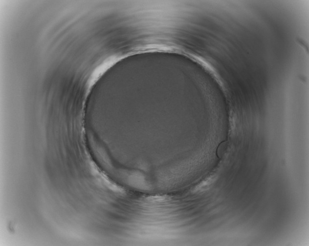 X0000102291373200808151942