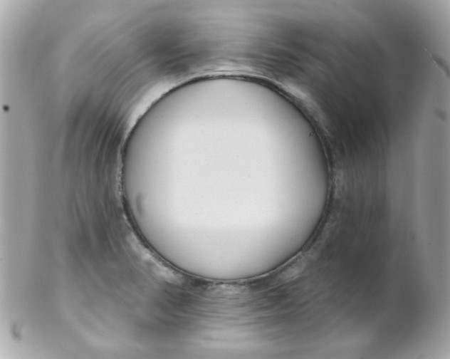 X0000102291374200808151942