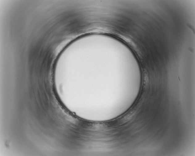 X0000102291375200808151942