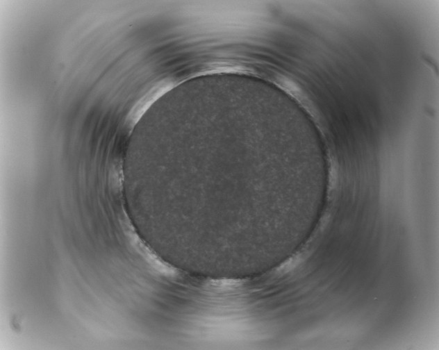 X0000102291377200808151942