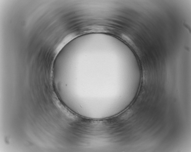 X0000102291378200808151942