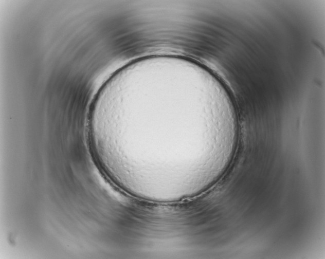 X0000102291379200808151942