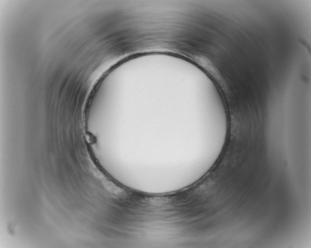 X0000102291380200808151942