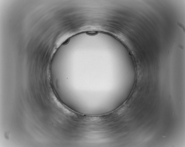 X0000102291382200808151942