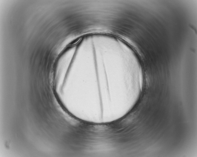 X0000102291383200808151942