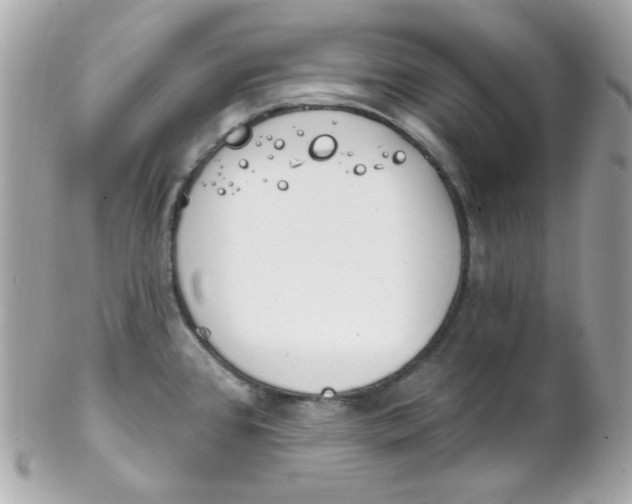 X0000102291384200808151942