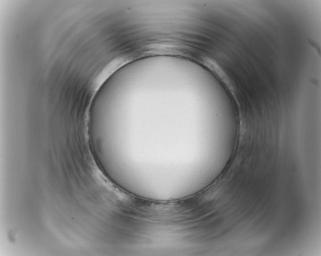 X0000102291386200808151942