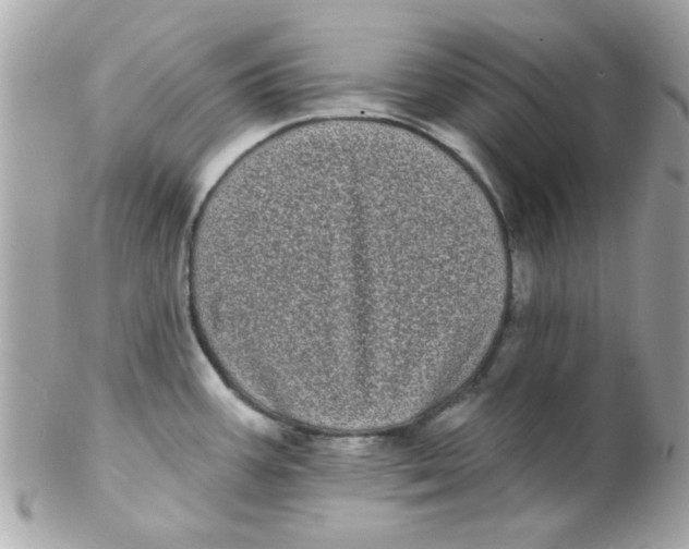 X0000102291387200808151942