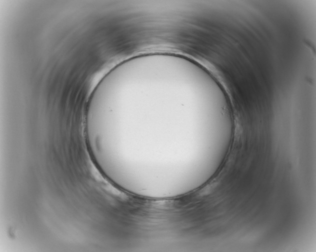 X0000102291390200808151942