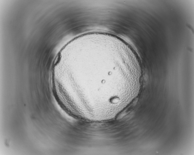 X0000102291391200808151942