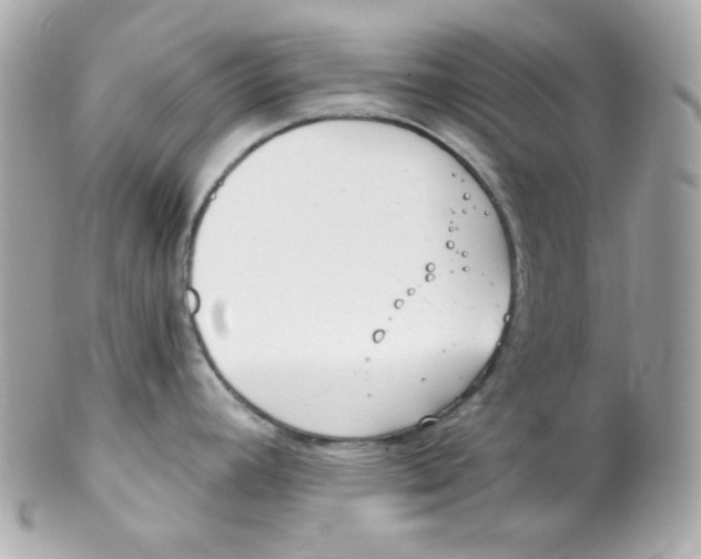 X0000102291392200808151942