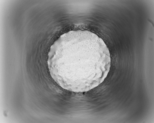 X0000102291393200808151941