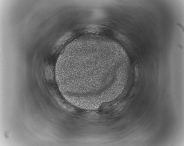 X0000102291394200808151941