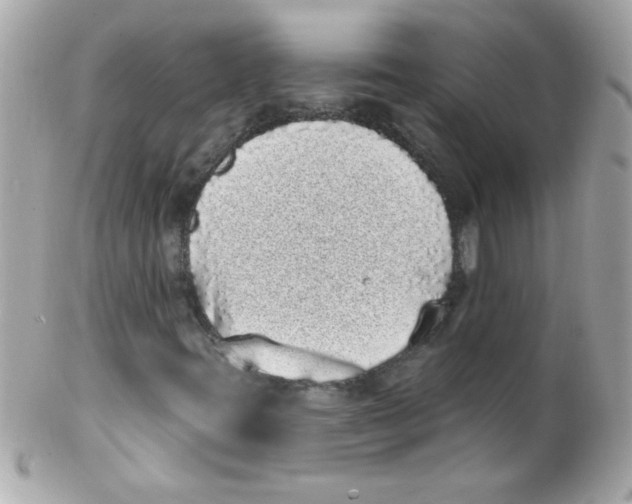 X0000102291395200808151941