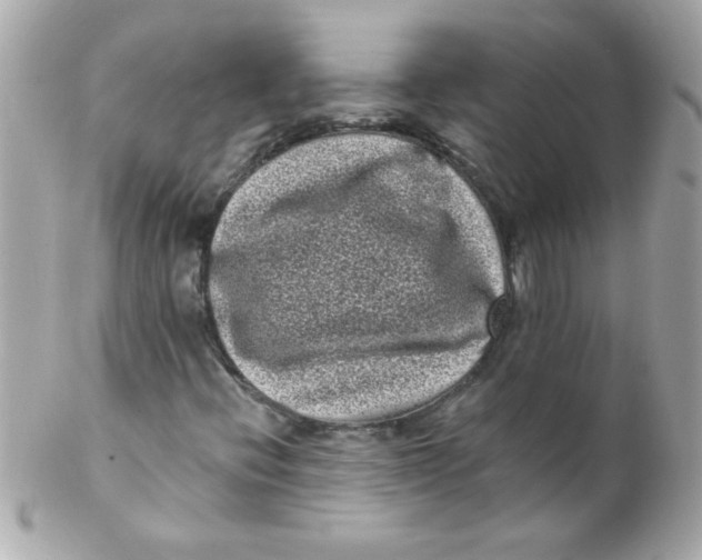 X0000102291396200808151941