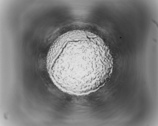 X0000102291397200808151941