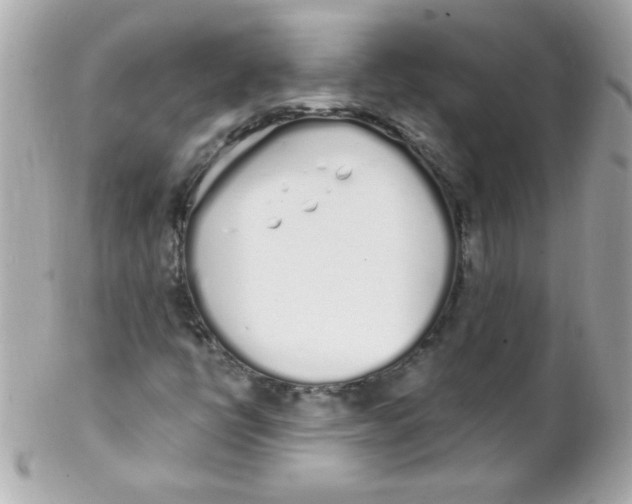 X0000102291398200808151941