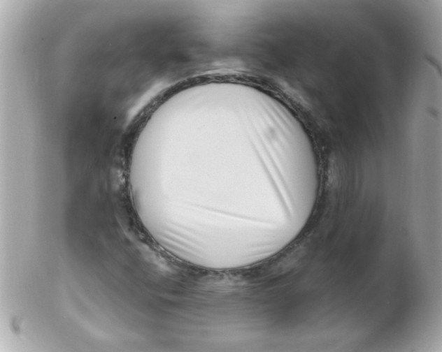 X0000102291400200808151941