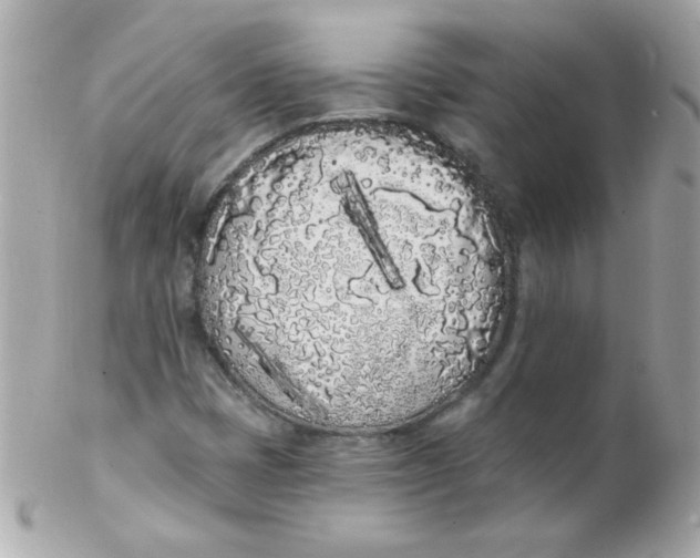 X0000102291401200808151941